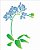 Stencil 20x25 Flor Phalaenopsis - OPA 1454 - Imagem 2