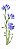 Stencil Opa 10x30 - Flores Centaurea Cyanus - OPA 3459 - Imagem 1