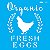 Stencil 14×14 Simples Farmhouse Organic Fresh Eggs Opa 2923 - Imagem 2