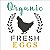 Stencil 14×14 Simples Farmhouse Organic Fresh Eggs Opa 2923 - Imagem 1