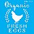 Stencil Para Pintura 10x10 - Farmhouse Organic Fresh Eggs – OPA2903 - Imagem 2