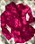 Chemise Pink - Imagem 3