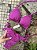 Biquíni Cortininha Fucsia Calcinha Lacinho - Imagem 2
