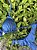 Biquíni Cortininha Azul Navy Detalhes Asa Delta - Imagem 3