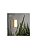 ARANDELA STELLA STH7700/30 - Imagem 3