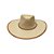 Chapéu de Palha Ref. 91009 Couro Frente - Formado - Imagem 1