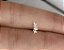 Piercing de Prata Ramo de Folhas - Imagem 1