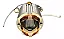 Estator Bobina Completo 127v Para Tupia 3709 590089-1 Makita - Imagem 1