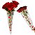 Embalagem Cone para Flores 2,5+13x48cm 100 unidades Coração - Imagem 7