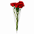 Embalagem Cone para Flores 2,5+13x48cm com 100 unidades - Imagem 1