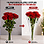 Embalagem Cone para Flores 2,5+13x48cm com 100 unidades - Imagem 2