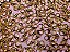 Fecho lagosta dourado 14mm 06 unidades - Imagem 1