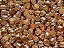 Terminal dourado 10x14mm - Imagem 1