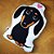 Almofada 3d Cachorro Dachshund - Salsicha - Imagem 7