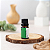 Essência Aromatizante Hidrossolúvel Concentrada 10ml - Alecrim - Imagem 2