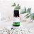 Óleo Essencial de Eucalipto Globulus 10ml - Imagem 2
