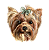 Retratto Retalista de Pet em Aquarela - Imagem 1