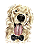Retratto Retalista de Pet em Aquarela - Imagem 11