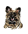 Retratto Retalista de Pet em Aquarela - Imagem 10