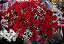 BIG BUQUÊ DE ROSAS VERMELHAS 100 ROSAS - Imagem 2