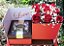 BOX DE ROSAS VERMELHOS COM BOMBONS FERRERO - Imagem 1