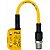 541259 - Pilz - PSE541259 - Pilz - PSEN cs4.2 M12 / 8-0.15m 1 interruptorN cs4.2 M12 / 8-0.15m 1 interruptor - Imagem 1