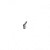 29336 - Imagem 1