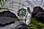 Pulseira de aço 316l Pagani design oficial original largura 24mm PD-1736 Import - Imagem 10
