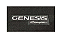 Jogo Tapete Original Hyundai Genesis Coupe 2012 A 2016 Novo - Imagem 1