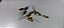 10 capacitores 2,2uf x 50v Nichicon Fine Gold - Imagem 1