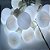 Cordão Com 20 Lâmpadas Bolinha LED Fixo Branco Frio 4M Bivolt - INTERNO - Imagem 4