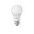Lâmpada Bulbo 12W LED Branco Frio Bivolt - Avant - Imagem 1