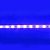 Fita LED SMD 5050 Azul Sem Silicone IP20 5M 12V - Imagem 4