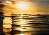 Belo nascer do sol com forte reflexo no mar - Imagem 1