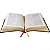 Bíblia do Obreiro Com Índice Palavras de Jesus Vermelho - Luxo Preta - Sbb - Imagem 2