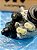 Bomba Alta Pressão do Diesel Jeep Grand Cherokee 3.0 Diesel 2014 - 2023 Mopar - Imagem 7