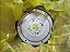 Volante Motor Para 68RFE Dodge RAM 2500/3500 2010-2012 Mopar - Imagem 3