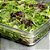 Cuba Gastronômica Policarbonato GN 1/1 Cambro 65mm - Imagem 3