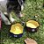 Bowl para Água ou Comida - Bordeau - Imagem 4