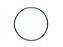 Anel Oring 55X2Mm Viton Verde BR 514766 (79109) - Imagem 1