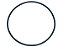 Anel Oring Tampa Distr.Silicone Preto 16 Para Sca SERIE 4/5 TODOS (804733) - Imagem 1