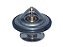 Valvula Termostatica 86ºC Serie Ouro ACCELO/ATEGO/ATRON/AXOR/LO916 (3742030075) - Imagem 1