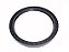Retentor Mancal Tandem 138X170X13MM Para Sca 114/124/94 (1386227) - Imagem 1