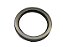 Retentor Cubo Roda (Chapa E Diferencial ) Mercedes 709/812/912/914/915/712C/2638 (0179973047) - Imagem 1