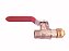 Torneira Femea 1/4 Anel Encosto E Oring Para Sca 31960 (329654) - Imagem 1