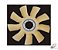 Helice 9 Pas Nylon Ford 1317/1317EL/1517/1517EL/1717EL (4C458600BA) - Imagem 1