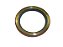 Retentor Roda Dianteiro (Pino Mestre Braco Supe Para Sca P94/114/124 (1343372) - Imagem 1