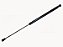 Amortecedor Tampa Bagageiro Lateral Para Sca SERIE 4/5 (1761668) - Imagem 1