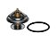Valvula Termostatica 83º Mercedes AXOR/ATEGO/ACTROS/ACCELO/715C/815/915/16 (0042038375) - Imagem 1