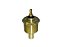 Sensor Temperatura Ford CARGO 1422/1617/1622/2422/2622/2626/2630 (TJG919501A) - Imagem 1
